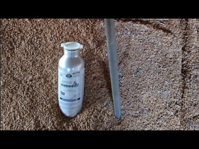 Приспособление для борьбы с вредителями в буртах пшеницы.