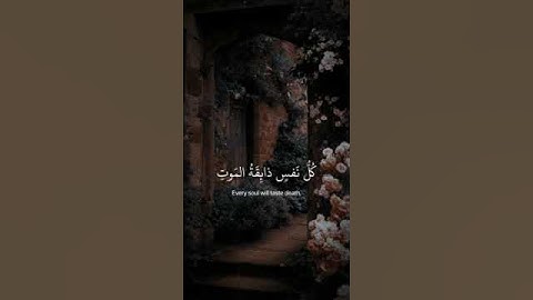 تلاوة تريح القلب القارئ#عبدالرحمن_مسعد #حالات_واتساب_دينية#راحة_نفسية #قران_كريم #سورة_العنكبوت