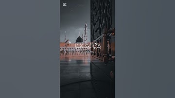 سورة الأحزاب {الآية 56} بصوت الشيخ رعد الكردي ❤️❤️
