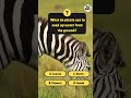 Guess The Animal From The Fact! Kids Trivia Quiz 🦁 Perfect Road Trip Game!