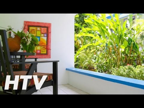 Castle Comfort Lodge En Roseau Dominica Youtube