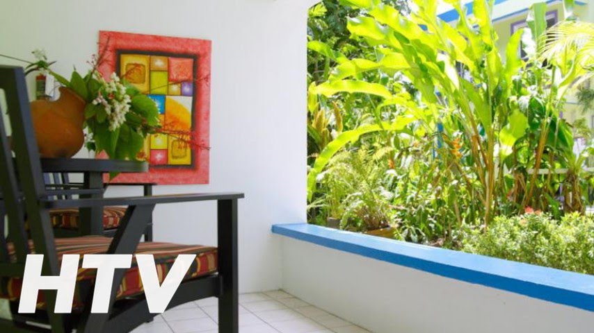 Castle Comfort Lodge En Roseau Dominica Youtube