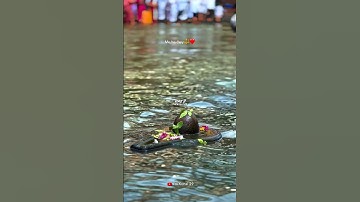 Mahadev status video 💫 bholenath status ☘️ mahakal status#mahadev #shorts