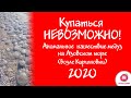 Купаться невозможно! Аномальное нашествие медуз на Азовском море возле Кирилловки (2020)