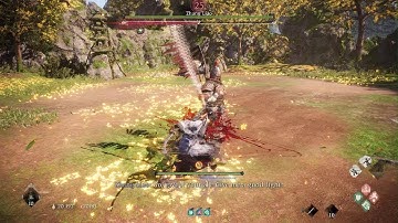 Wo Long: Fallen Dynasty - Zhang Liao boss fight (no damage, NG+)