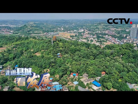 24小时看资中 小城里的幸福 | CCTV「走进县城看发展」
