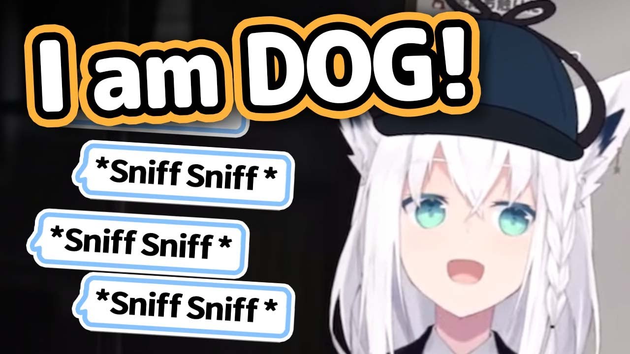Fubuki Makes Chat Go "Sniff Sniff"【Hololive】