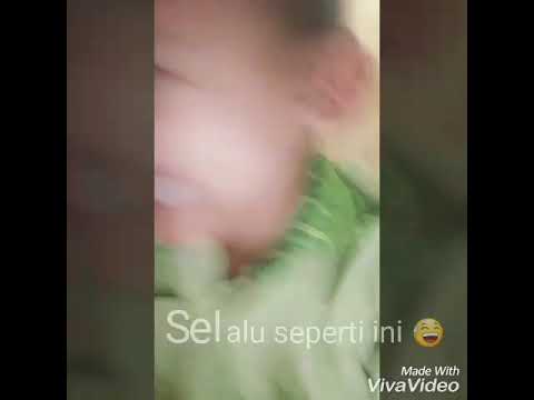 Gangguin mama yg lagi bobo 😂