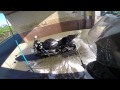 Washing Arianna, And How To Wash Your Motorcycle...The Awesome Way!