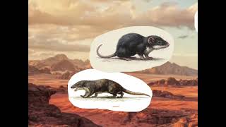 Human ancestors find the origin of life to today The first true mammals
