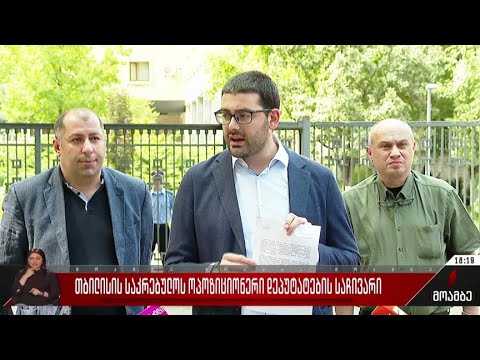 თბილისის საკრებულოს ოპოზიციონერი დეპუტატების საჩივარი
