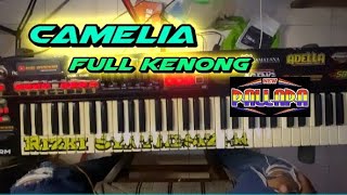CAMELIA (IRWANSYAH) FULL KENONG NEW PALLAPA
