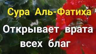 СУРА АЛЬ-ФАТИХА ОТКРЫВАЕТ ВРАТА ВСЕХ БЛАГ