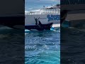 見てくれてありがとう〜。