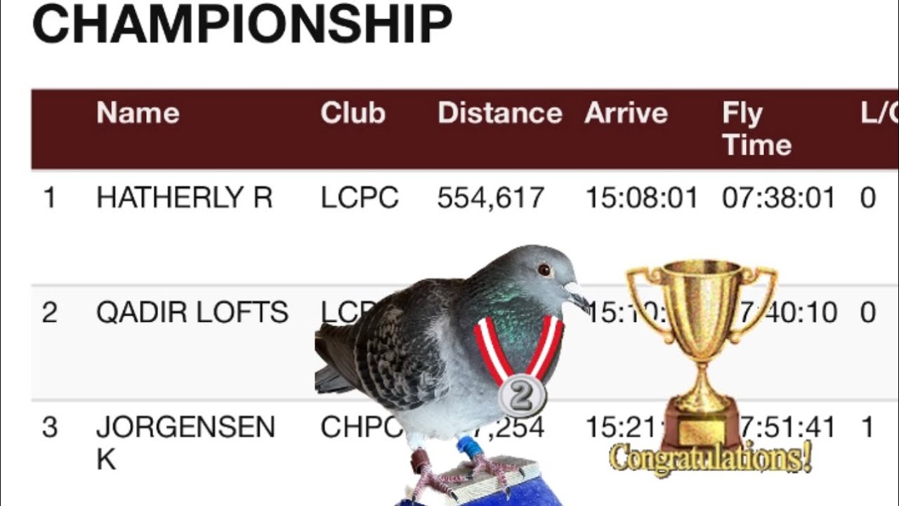 Walgett Races Race Results, Walgett 560km hard day race - YouTube