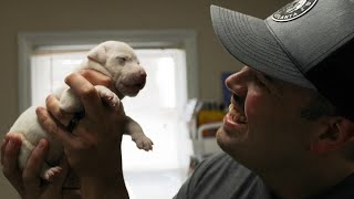 Pickens County firefighter to adopt puppy from litter he saved from house fire