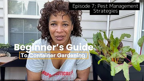 Series 1, Beginner’s Guide to Container Gardening, Episode 7: Pest Management Strategies