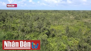 Khám phá khu Ramsar Vườn Quốc gia U Minh Thượng | Sắc màu phương Nam