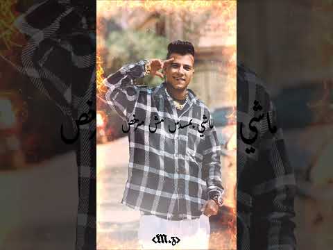 حالات واتس الاخصام ضمو لبعضيهم عصام صاصا حالات واتس