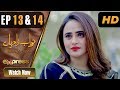 Watch Pakistani Drama | Nawabzadiyan - Episode 13 & 14 | Express TV Dramas | Fazyla Lashari, Rizwan Jaffri Online In HD