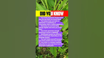 Your brain processes visuals faster than your eyes can record them.