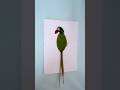 How to make a parrot from green leaves #shortvideo #youtubeshorts #trending #shorts #drawingideas