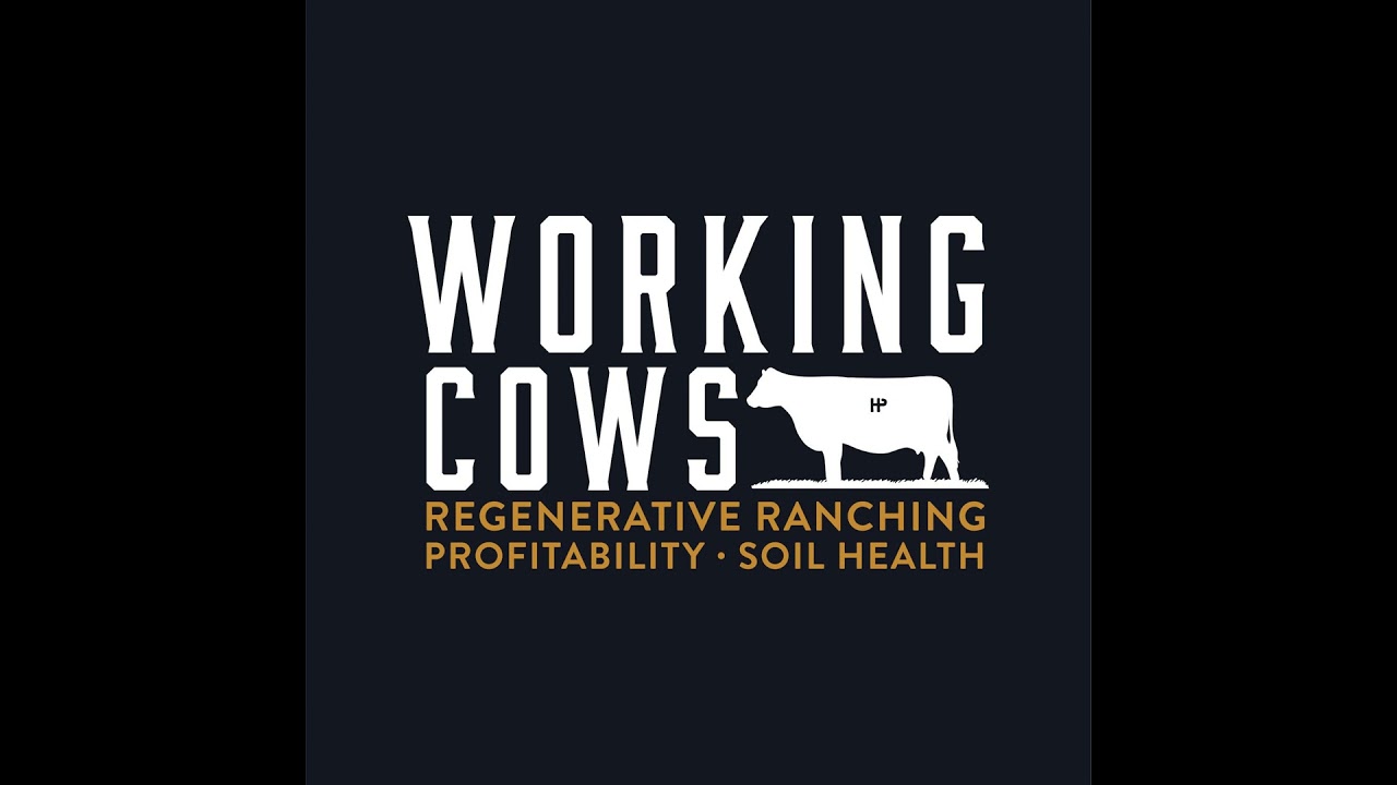Taking Control of Your Money (WCP 490)