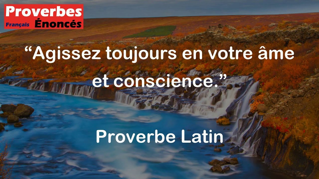 Proverbe Latin - Agissez toujours en votre âme et conscience. - YouTube