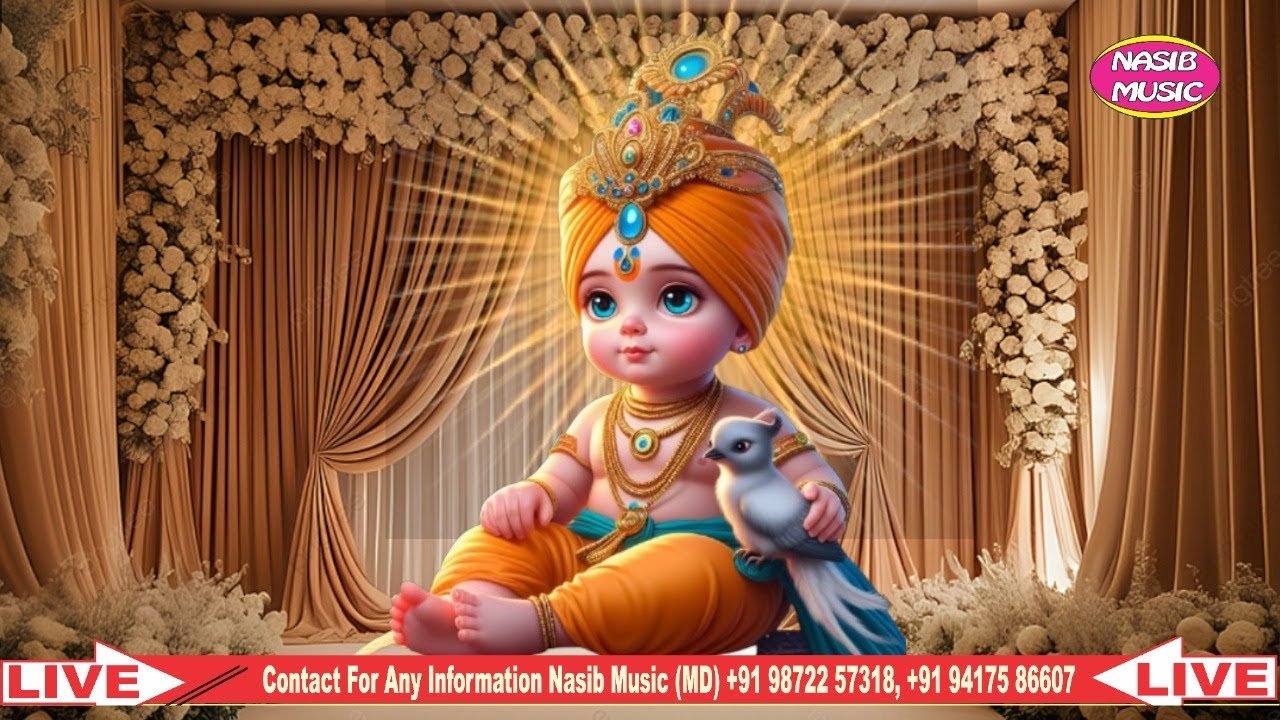 Top Bhajans Live Juke Box ।Jai Baba Balak Nath ji । Satguru Sh. Satnamdass Ji Maharaj / Nasib Music