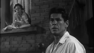 Clic Private Investigator Tv Shows Private Investigator