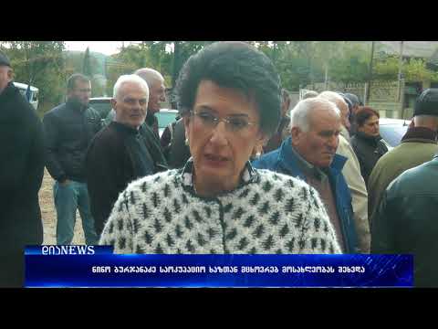 ნინო ბურჯანაძე გორის მუნიციპალიტეტში გამყოფ ხაზთან მდებარე სოფლებში ჩავიდა 17.10.2017