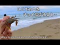捕まえたカニを砂浜から投げる釣りの面白さ【車中泊釣り旅第三弾・西日本&九州編15話】