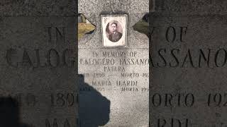 Old Grave Portraits [Fassano] Man #shorts