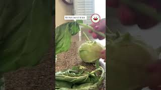 Did you know the entire kohlrabi can be eaten?