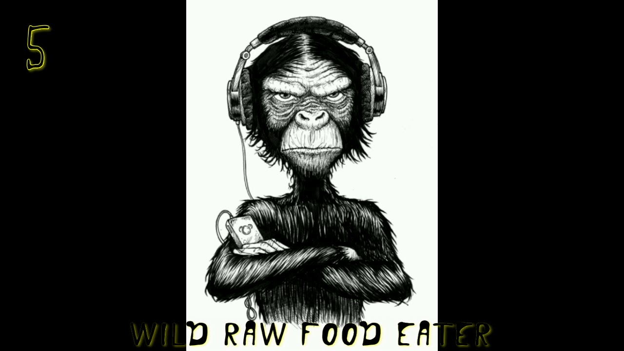 Hacking Ambient Music [black raisins] album 5