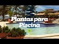 Plantas para piscina