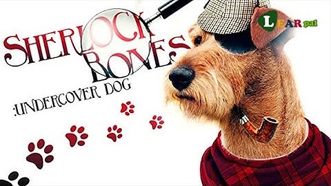 SHERLOCK BONES: UNDERCOVER DOG