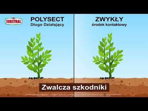 Wideo: Czy świetliki zabijają szkodniki: Dowiedz się o błędach piorunowych jako zarządzaniu szkodnikami