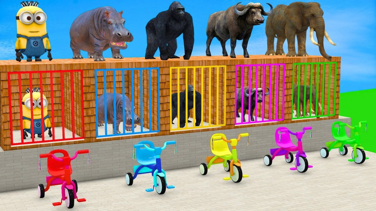 5 Giant Duck Cartoon,Cow,Elephant,Tiger,Lion,Dinosaur,Paint Wild Animals Crossing Fountain Animation