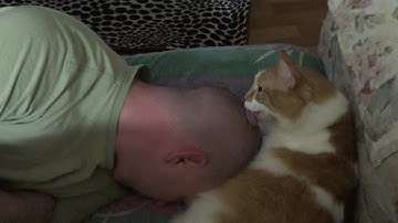 Cute fat cat wont stop licking my head!!