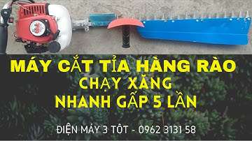 Đánh giá Máy cắt tỉa hàng rào chạy xăng lưỡi 1-có tốt không