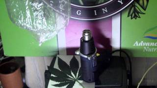 Ganja Creator TV Episode 010:Autoflower Breeding OG Kush