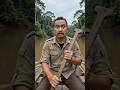 Nekat! Sendirian Menyusuri Sungai Amazon Tanpa Jembatan | Eksplorasi Misteri Hutan Terliar