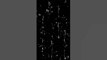Water Drop Black Screen Effect Template Shorts Short Shortblackeffect 