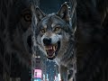 A Giant Wolf Just Entered The City 😱🐺