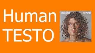 The Killers-Human (testo in inglese)
