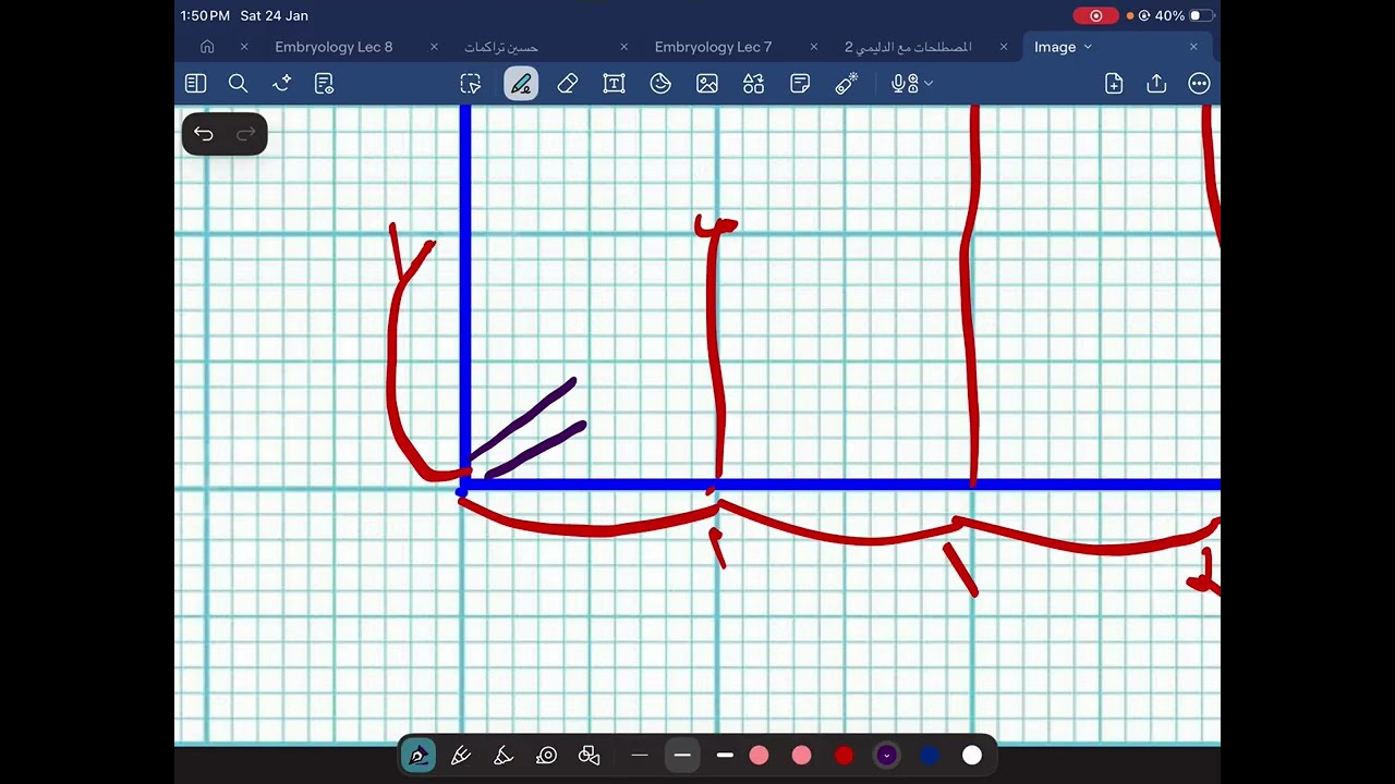 تضبيط السلوب 