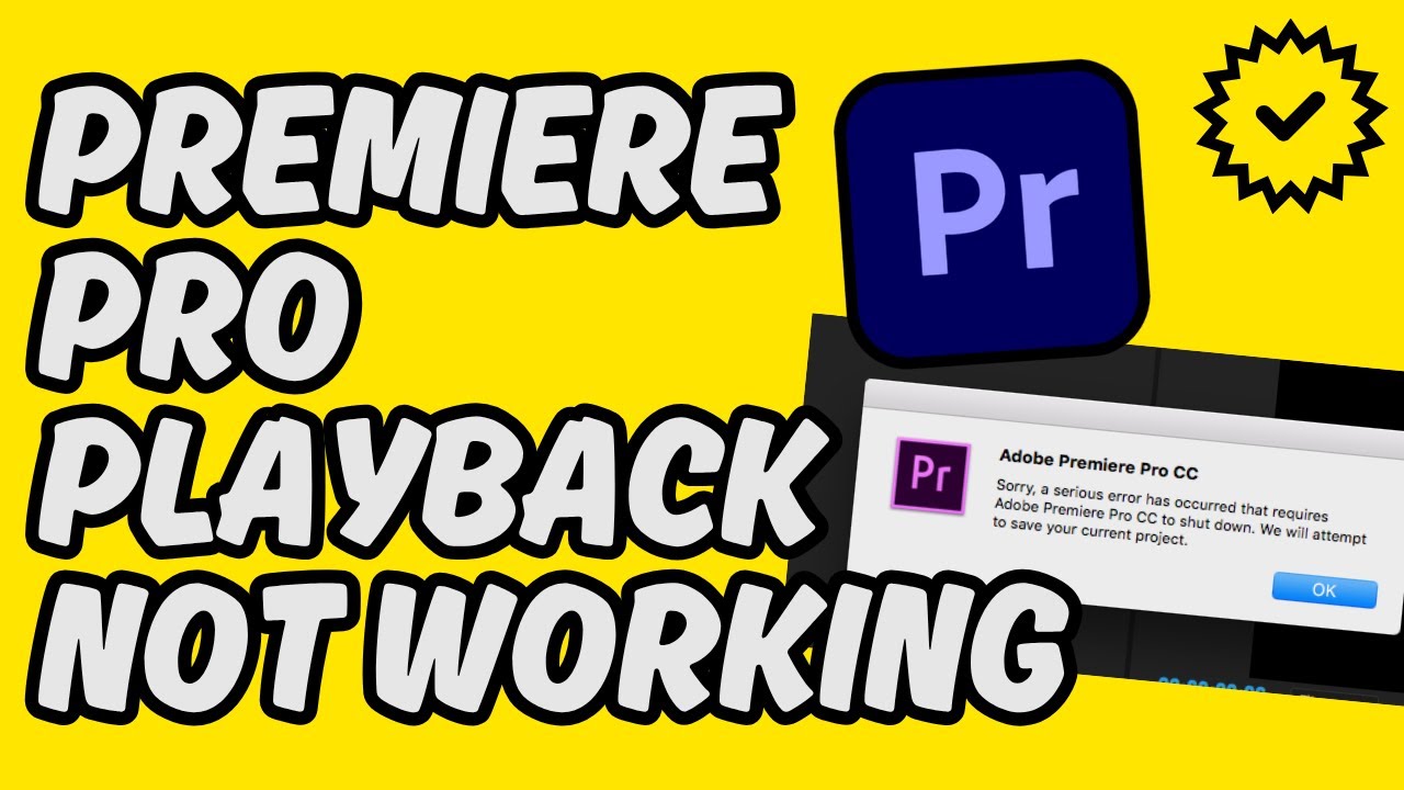 [Easy Fix] Adobe Premiere Pro Playback Not Working - YouTube