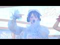【LIVE映像】SWEET STEADY「ガーベラの花のように」