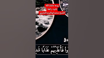 روعه ماشاءالله | تلاوة رائعة للشيخ محمد أبو اليزيد المصري